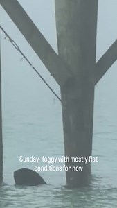 We are not alone in the fog | Panama City Beach Surf
