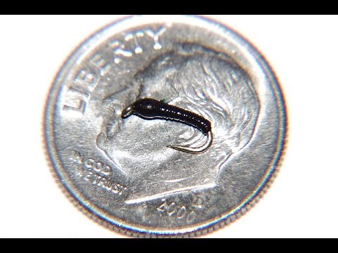 How to Tie a Black Midge Pupa Fly Pattern.