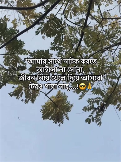 Explore the Energetic Vibes of Velocity Funk