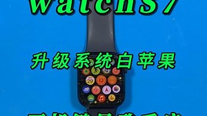 watch手表无法检查更新，检查软件更新失败，因为您尚未接入互联网，重新开始，再来一次反复循环。
