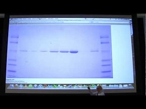 #07 Biochemistry Protein Characterization Lecture for Kevin Ahern's BB 450/550