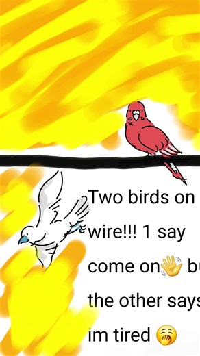 sorry I drew everything so I tried