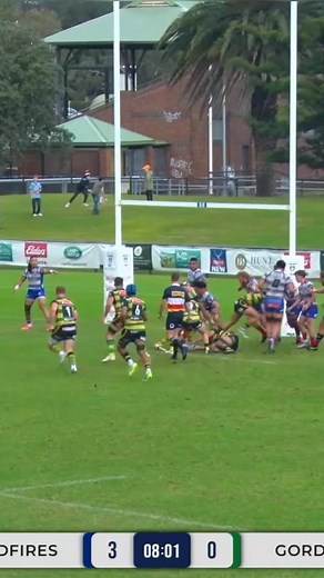 21 reactions | RD10 Highlights Powered by @stansportau #stagsup #oneclan #bydand #gordonrugby #shuteshield | Gordon Rugby - The Highlanders | Facebook