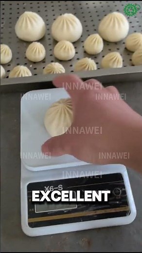 Automatic Stuffing Machine for Buns, Baozi & Snacks | Professional 110g Bun Forming baozi machine