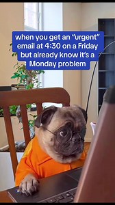 6.5K views · 42 reactions | it’s called work-life balance #workhumor #officehumor #nonprofitlife #nonprofithumor #fridayemails #emails #idealist #worklifebalance | Idealist | Facebook