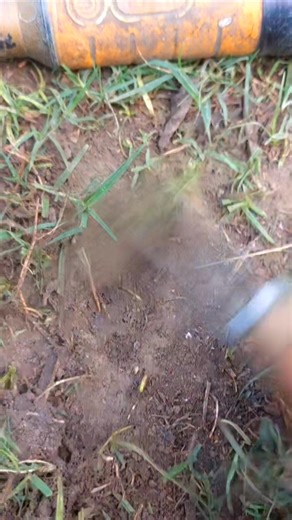 Found old coin. #treasueehunt | GO finder