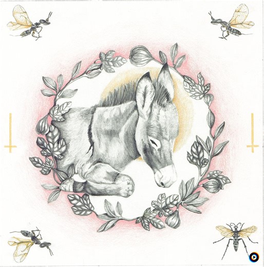 Chapter 2: The Light Of The Body by Human Behavior