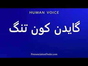 How To Pronounce گایدن کون تنگ