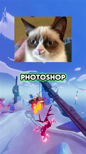 The Story Behind Grumpy Cat 😾