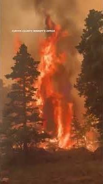 Caught on camera: Flames engulf trees in Colorado