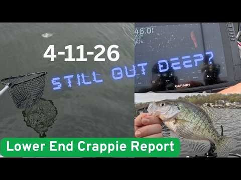 Lower End Crappie Report | Lake Of The Ozarks | Pre-Spawn Into Spawn
