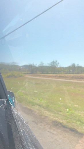 Pastelillando IRL #byriflexx #fyp #roleplaypr