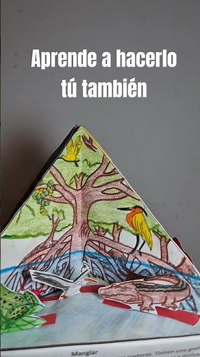 Proyecto escolar: Triorama de 4 ecosistemas #manualidadescreativas