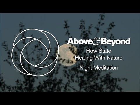 Above & Beyond - Flow State: Healing With Nature - Night Meditation (Four Hour Ambient Soundscape)