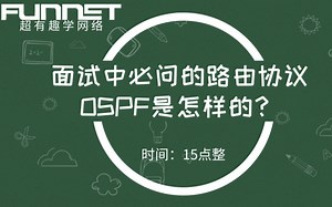 纯干货你懂的-网络工程师之OSPF项目技巧