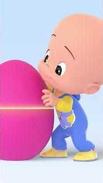 Learn the Alphabet with Cuquin and the Koala! 📚🦘 #Cuquin #CleoandCuquin