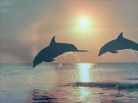 I CAPOLAVORI DELLA MUSICA CLASSICA CONTEMPORANEA