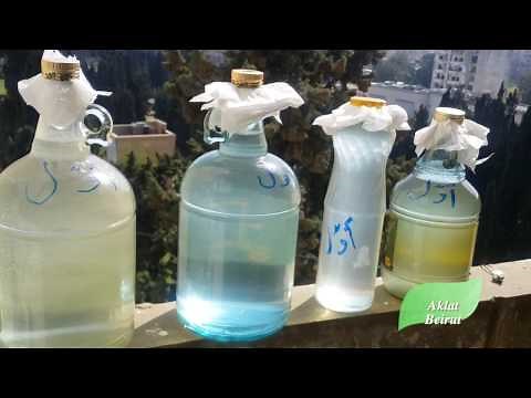 كيفية تقطير ماء الزهر الأصلي في البيت Orange blossom water - Home Made