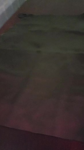 Understanding the Differences Between Rabbits and Dogs in Shadow Puppetry