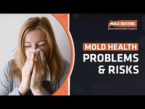 How We React to Mold/Health Problems and Risks - Mold Busters