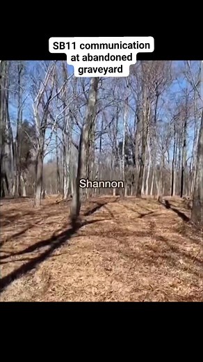 This is the location of many crossovers between 2020 through 2022. A lot of work done here to get rid of the massive negativity. 🙏 #fblifestyle #paranormal #cemetery #graveyard #communication #JoinUs | The Paranormal Couple