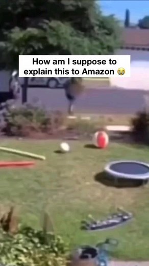 Golden | How @golden_modz @russian.lawyer | Instagram