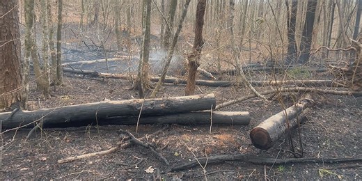 Brushfires burn hundreds of acres in Shelby and Chilton counties