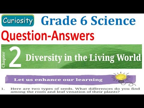 Class 6 Science (Curiosity) Chapter 2 question answers