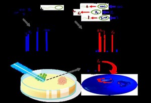 Exometabolomics - Alchetron, The Free Social Encyclopedia