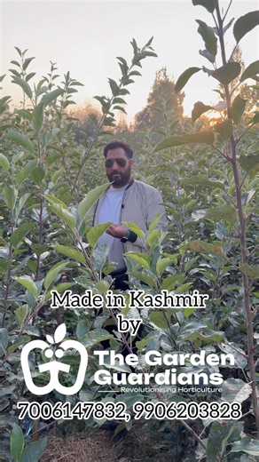 39K views · 405 reactions | Project M9 - Trailer✨ | The Garden Guardians, Kashmir. | Facebook