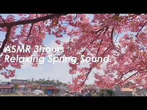 春の田舎の小道の環境音 | 3時間 spring sound in japan | ASMR | 睡眠