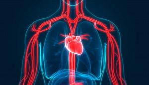 The Heart Test You May Need—but Likely Haven’t Heard Of