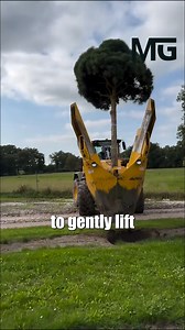 19 reactions | Advanced tree transplantation techniques employing specialized machinery for careful extraction, transport, and replanting, ensuring minimal disruption and optimal survival rates. | Modern Gadgets | Facebook