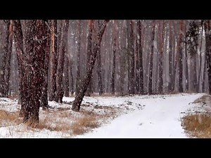 Winter Wind With Snow Fall Sound Effects | Copyright Free Nature Sounds Part-2