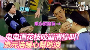 13K views · 170 reactions | #路摸思編：把花枝買下來報仇！ ▌鬼鬼遭花枝咬崩潰慘叫！ 姚元浩暖心幫擦淚喊：把牠買下來報仇 ▌影音提供：TVBS ▌來吧！營業中 | 三立新聞 | Facebook