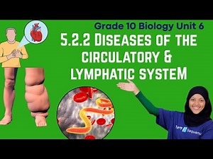 Grade 10 Biology Unit 5:5.2.2 Diseases of the circulatory and lymphatic system | Saquama