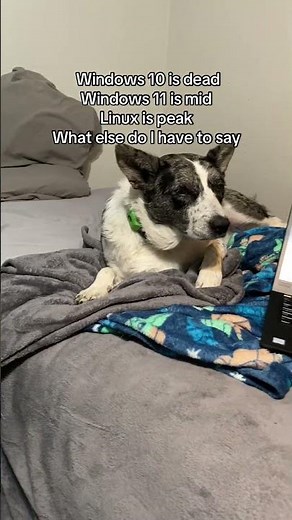 Just go ahead and download mint bro #windows10 #linux #opensource #arch #mint