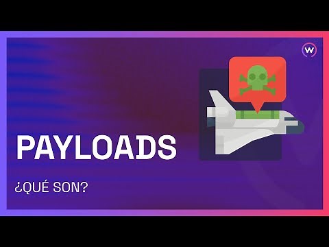 QUÉ SON LOS PAYLOADS