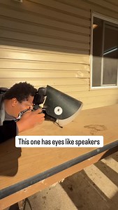 Such amazing face longhorn beetles of eyes. All insects in general have eyes like speakers 😂 #naturelovers #ontario #photography | explorewithdara