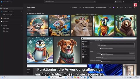 Fotoanzeige in Windows 11 funktioniert nicht? Das können Sie tun