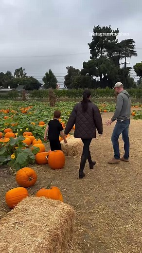 380K views · 1.7K reactions | Meghan Markle posts clearest glimpse of kids yet in Halloween snaps | The Sun Showbiz | Facebook