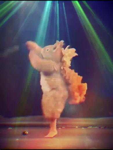 Ballet Squirrel dancing to Pink Pony Club - #chappellroan #pinkponyclub