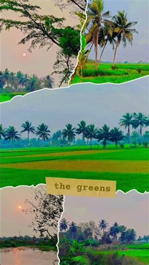 green fields #greenfields #green #iexplored #campfire #devotionalsongs #train