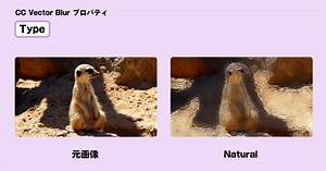 CC Vector Blurとは - ブラー＆シャープ