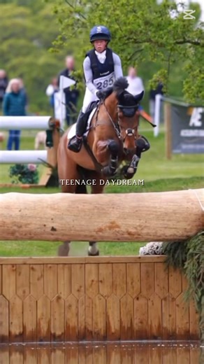 #horse #equestrianjourney #equestrian #pony #animals #jump #jumping #dressage #crosscontry