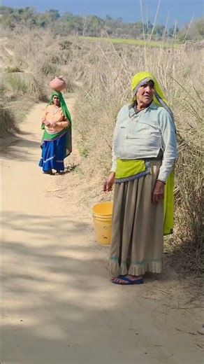 Rain water harvesting system