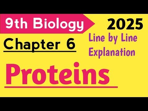 Proteins | Class 9 Biology Chapter 6 New Book 2025