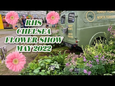 Stunning English Country Garden Ideas from RHS Chelsea Flower Show 2022!