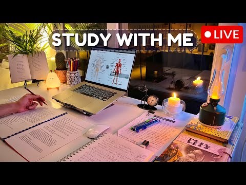 Study With Me Live | Quran Recitation & Rain 🌧️ | Pomodoro 50/10 | No Music, Deep Focus