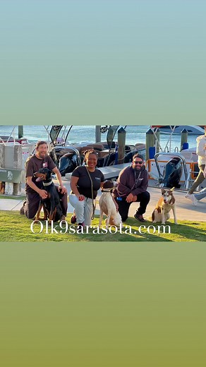 Ask us how we can improve your dogs confidence around other people and dogs | Off Leash K9 Training, Sarasota